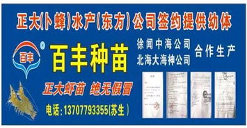水產動保亂象下的公共管理反思 陳昌福談經驗性用藥效果與應對策略